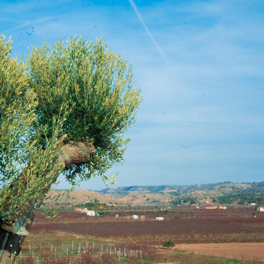 Cabezo Bunuel Rural * Calanda