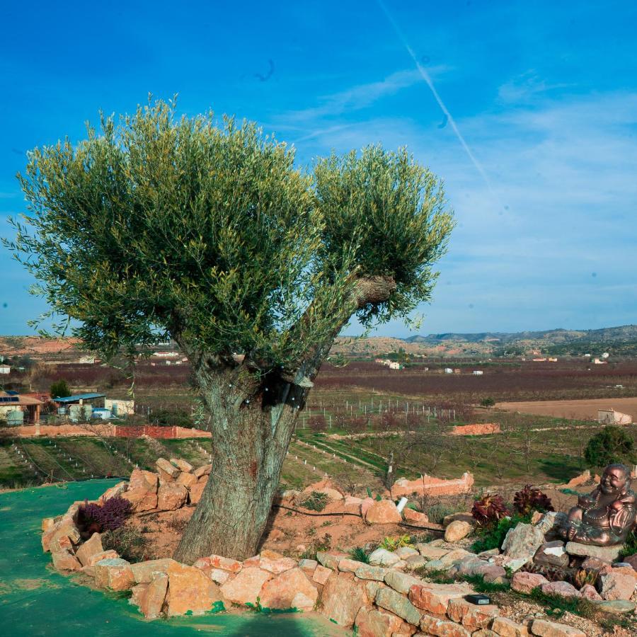 Alojamento de Acomodação e Pequeno-almoço Cabezo Bunuel Rural *