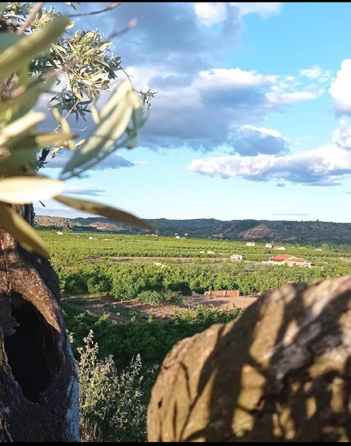 Cabezo Bunuel Rural *